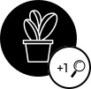 Louyet Group